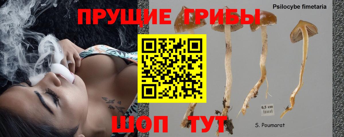 Галлюциногенные грибы прущие грибы  Вход с VPN  Фрязино 